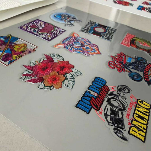 3D Flex Collection